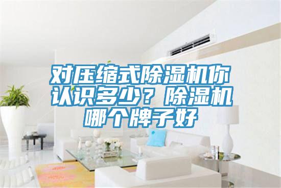 對壓縮式除濕機你認(rèn)識多少？除濕機哪個牌子好