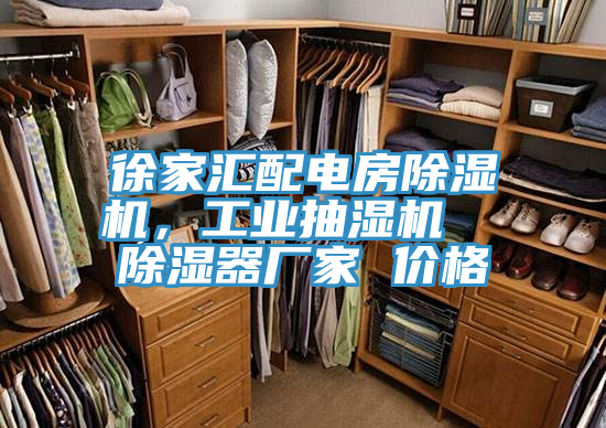徐家匯配電房除濕機(jī)，工業(yè)抽濕機(jī)  除濕器廠(chǎng)家 價(jià)格