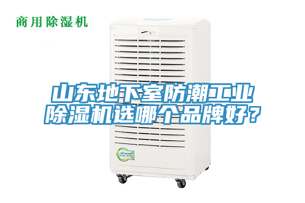 山東地下室防潮工業除濕機選哪個品牌好？