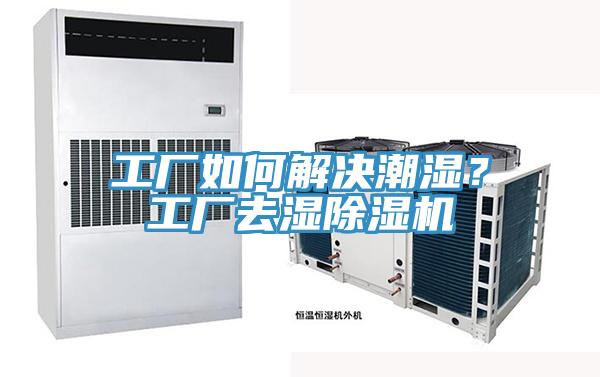 工廠如何解決潮濕？工廠去濕除濕機