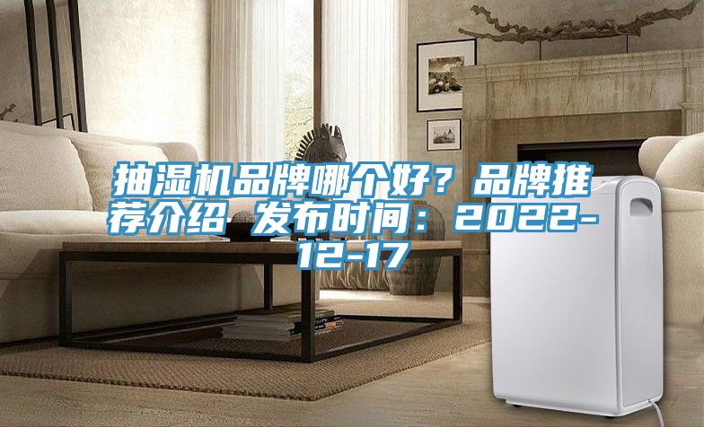 抽濕機品牌哪個好？品牌推薦介紹 發布時間：2022-12-17