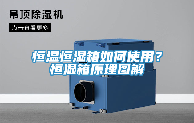 恒溫恒濕箱如何使用？恒濕箱原理圖解
