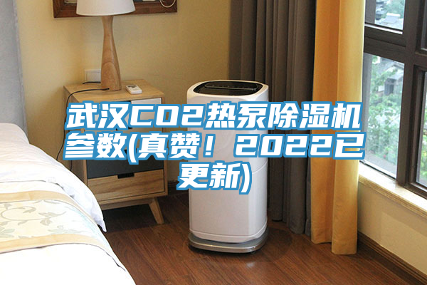 武漢CO2熱泵除濕機參數(真贊！2022已更新)