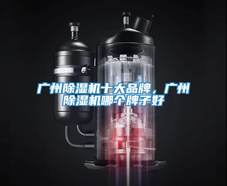 廣州除濕機(jī)十大品牌，廣州除濕機(jī)哪個牌子好