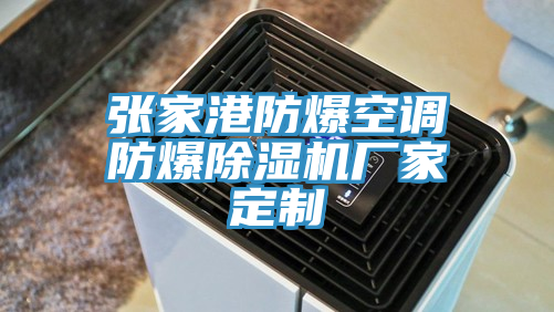 張家港防爆空調(diào)防爆除濕機(jī)廠(chǎng)家定制