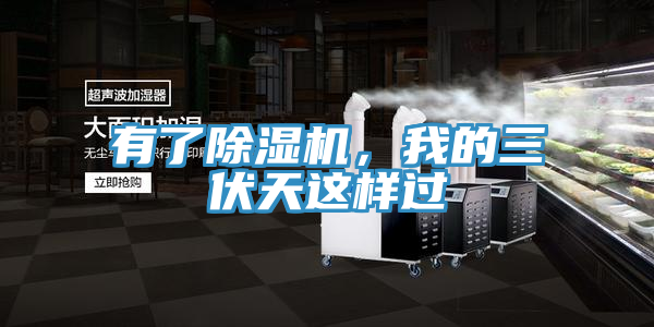 有了除濕機，我的三伏天這樣過
