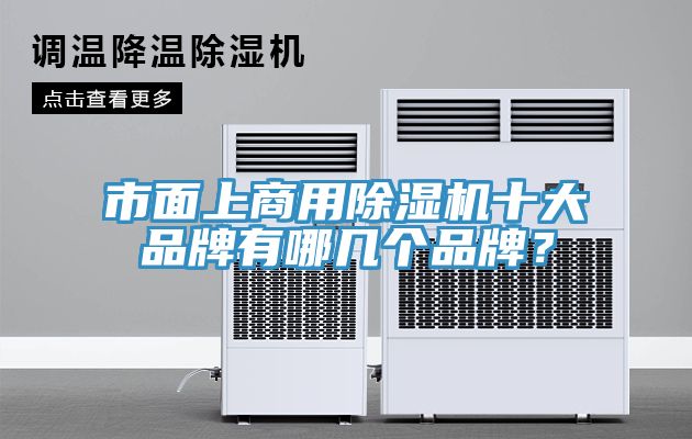 市面上商用除濕機十大品牌有哪幾個品牌？