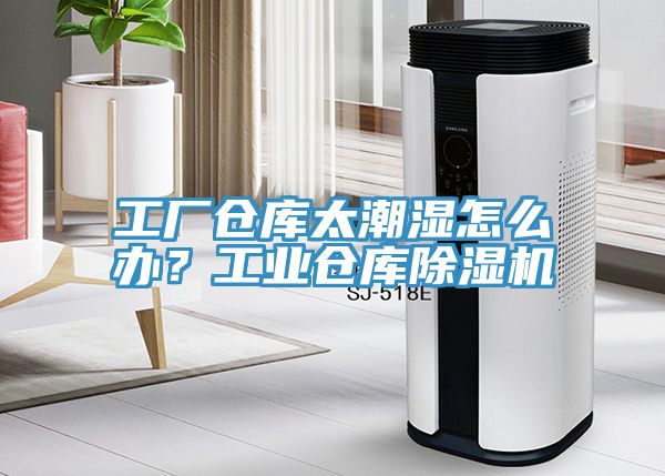 工廠倉(cāng)庫(kù)太潮濕怎么辦？工業(yè)倉(cāng)庫(kù)除濕機(jī)