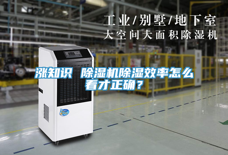 漲知識 除濕機除濕效率怎么看才正確？