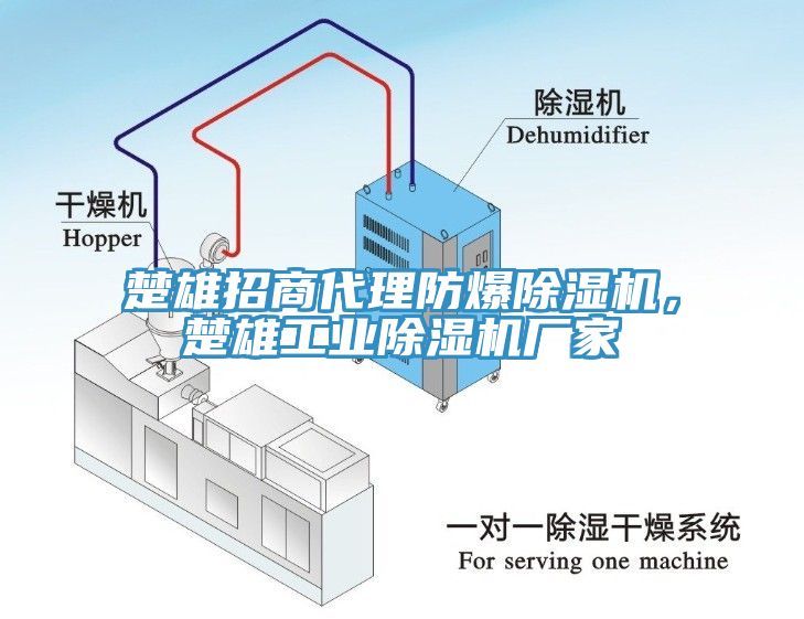 楚雄招商代理防爆除濕機，楚雄工業除濕機廠家