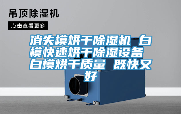消失模烘干除濕機 白?？焖俸娓沙凉裨O(shè)備 白模烘干質(zhì)量 既快又好