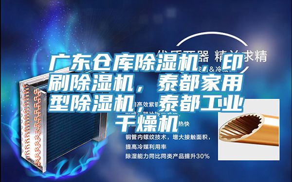 廣東倉庫除濕機，印刷除濕機，泰都家用型除濕機，泰都工業干燥機