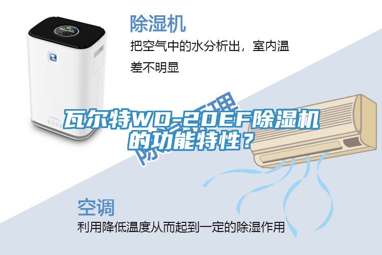瓦爾特WD-20EF除濕機(jī)的功能特性？