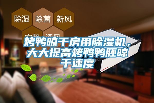 烤鴨晾干房用除濕機，大大提高烤鴨鴨胚晾干速度