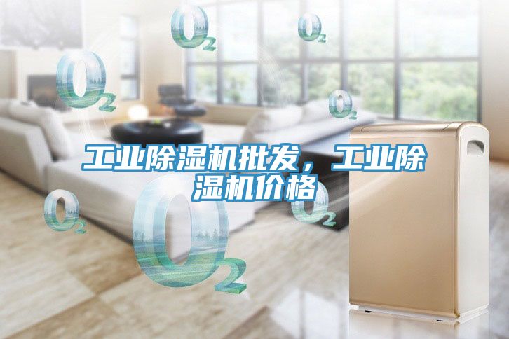 工業除濕機批發，工業除濕機價格