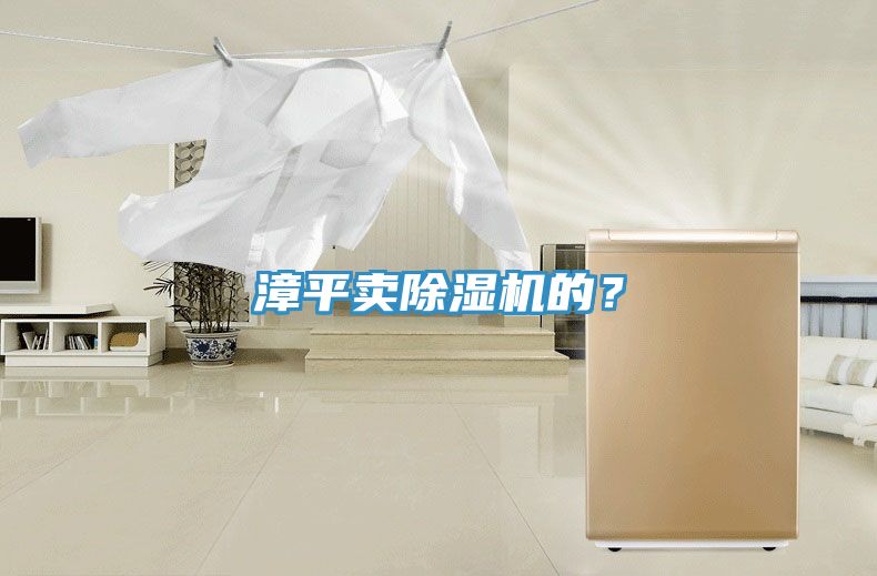 漳平賣除濕機的？