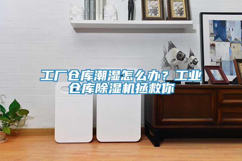 工廠倉(cāng)庫(kù)潮濕怎么辦？工業(yè)倉(cāng)庫(kù)除濕機(jī)拯救你
