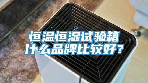 恒溫恒濕試驗箱什么品牌比較好？