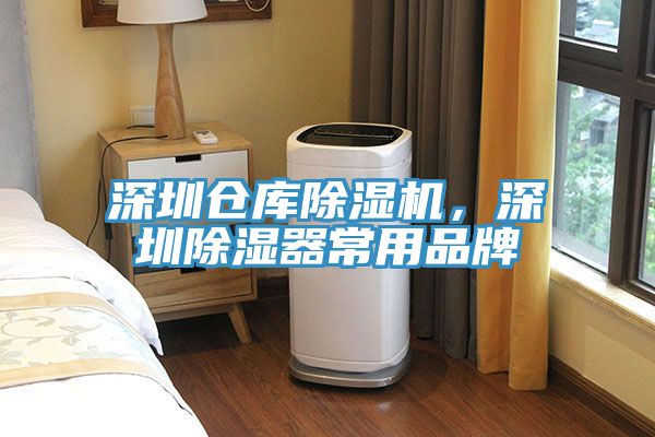 深圳倉庫除濕機，深圳除濕器常用品牌