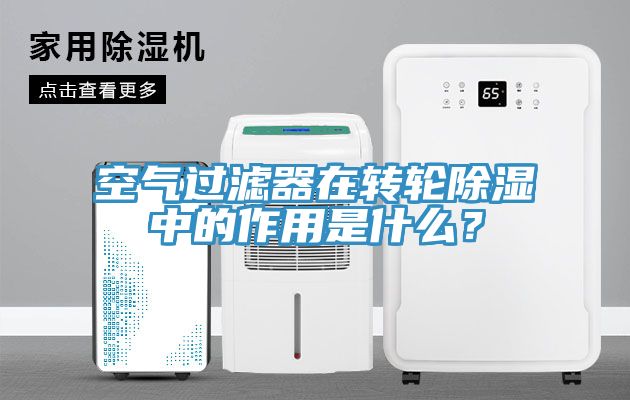 空氣過濾器在轉輪除濕中的作用是什么？