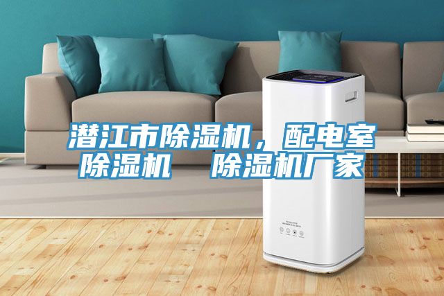 潛江市除濕機，配電室除濕機  除濕機廠家