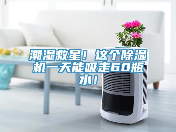 潮濕救星！這個除濕機一天能吸走60瓶水！