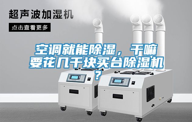 空調就能除濕，干嘛要花幾千塊買臺除濕機？