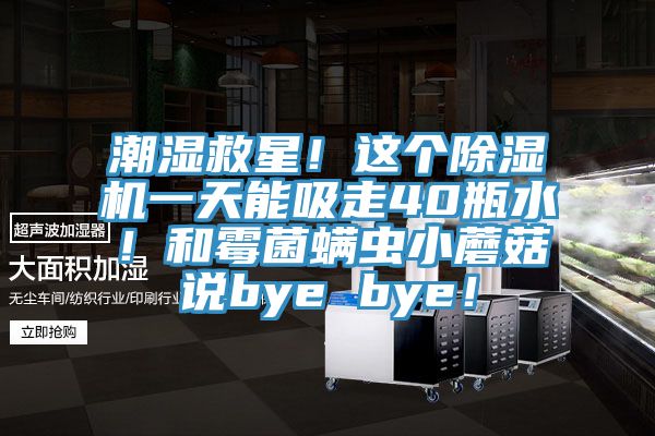 潮濕救星！這個除濕機一天能吸走40瓶水！和霉菌螨蟲小蘑菇說bye bye！
