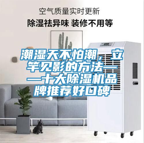 潮濕天不怕潮，立竿見影的方法——十大除濕機品牌推薦好口碑