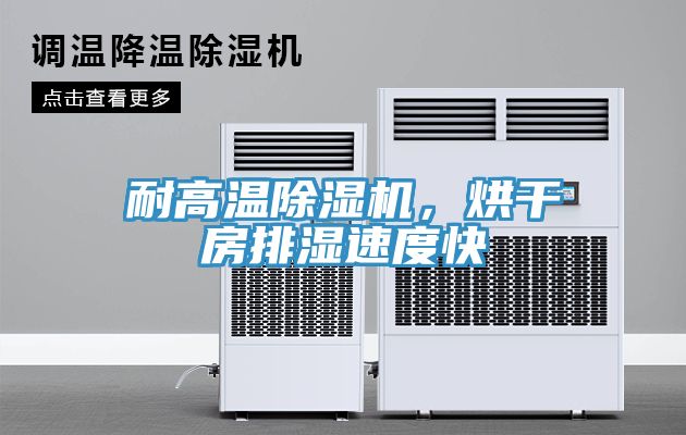 耐高溫除濕機，烘干房排濕速度快