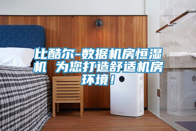 比酷爾-數(shù)據(jù)機(jī)房恒濕機(jī) 為您打造舒適機(jī)房環(huán)境！