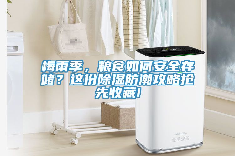 梅雨季，糧食如何安全存儲？這份除濕防潮攻略搶先收藏!
