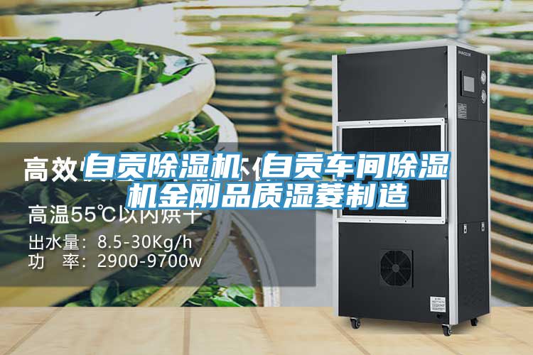 自貢除濕機 自貢車間除濕機金剛品質(zhì)濕菱制造