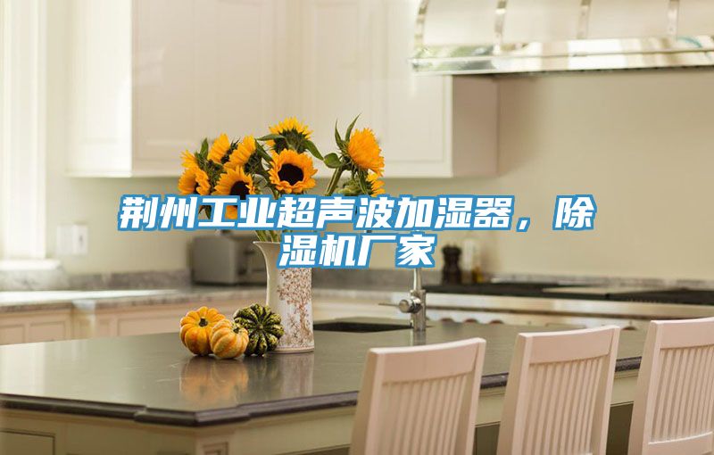 荊州工業(yè)超聲波加濕器，除濕機廠家