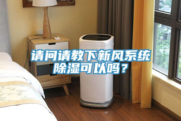 請問請教下新風系統除濕可以嗎？