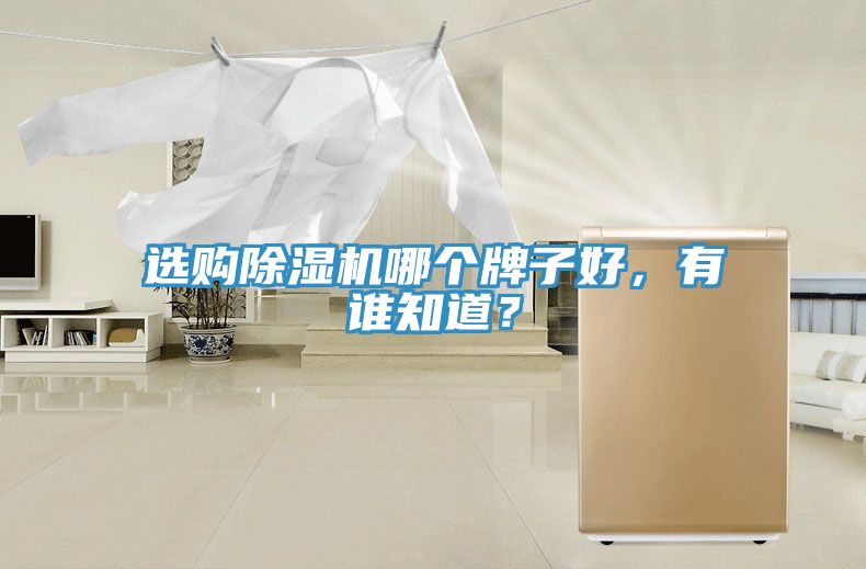 選購除濕機哪個牌子好，有誰知道？