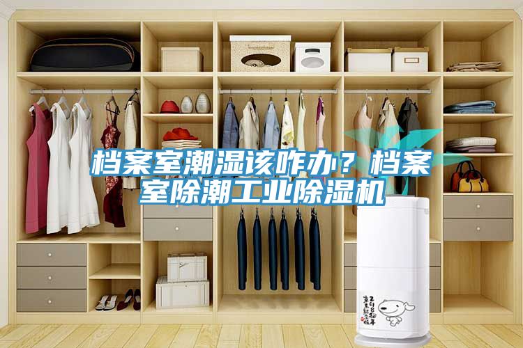 檔案室潮濕該咋辦？檔案室除潮工業(yè)除濕機(jī)