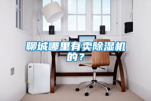 聊城哪里有賣除濕機的？