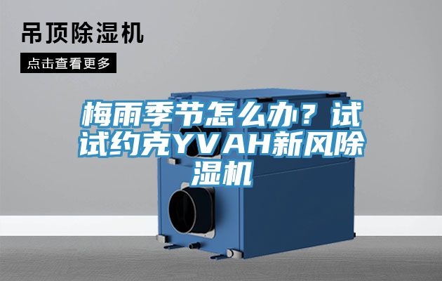 梅雨季節(jié)怎么辦？試試約克YVAH新風(fēng)除濕機(jī)