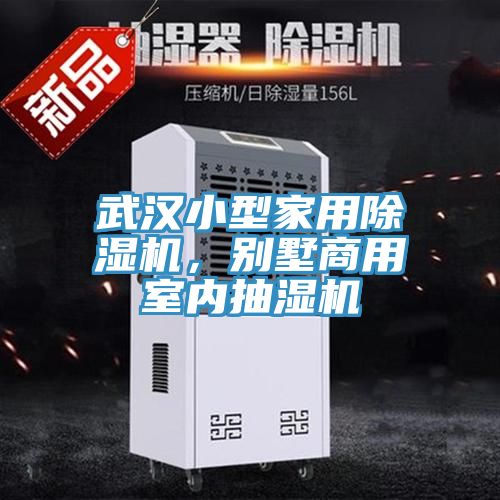 武漢小型家用除濕機(jī)，別墅商用室內(nèi)抽濕機(jī)