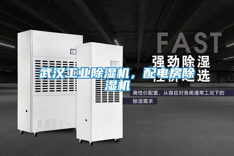 武漢工業(yè)除濕機(jī)，配電房除濕機(jī)