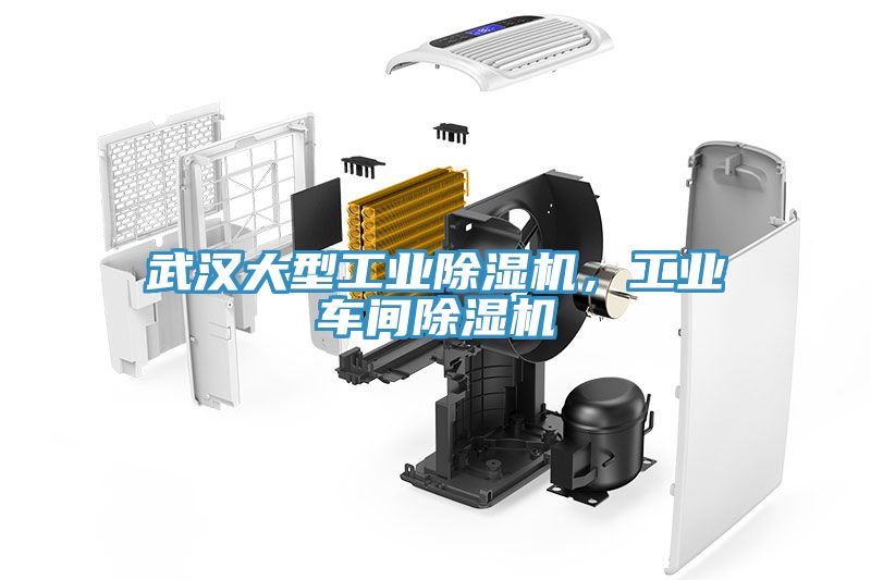武漢大型工業(yè)除濕機(jī)，工業(yè)車間除濕機(jī)
