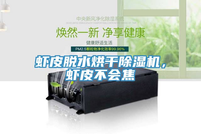 蝦皮脫水烘干除濕機，蝦皮不會焦