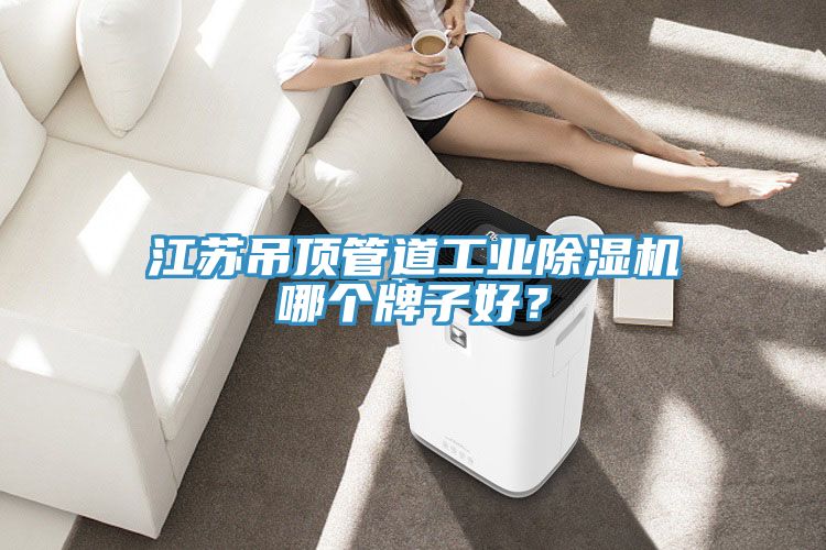 江蘇吊頂管道工業(yè)除濕機哪個牌子好？