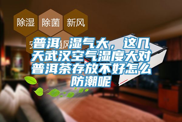 普洱 濕氣大，這幾天武漢空氣濕度大對普洱茶存放不好怎么防潮呢