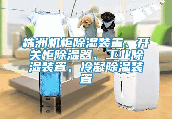 株洲機(jī)柜除濕裝置、開(kāi)關(guān)柜除濕器、工業(yè)除濕裝置、冷凝除濕裝置