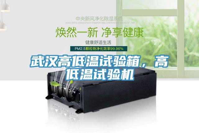 武漢高低溫試驗箱，高低溫試驗機(jī)