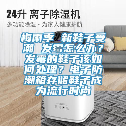 梅雨季 新鞋子受潮 發(fā)霉怎么辦？發(fā)霉的鞋子該如何處理？電子防潮箱存儲(chǔ)鞋子成為流行時(shí)尚