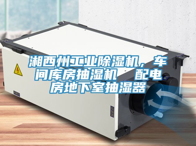 湘西州工業(yè)除濕機(jī)，車間庫(kù)房抽濕機(jī)  配電房地下室抽濕器