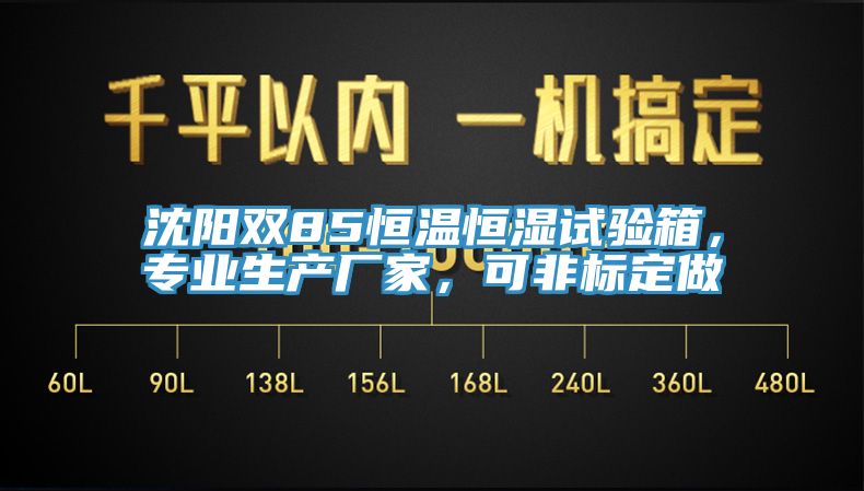 沈陽雙85恒溫恒濕試驗箱，專業(yè)生產(chǎn)廠家，可非標(biāo)定做